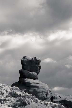 IOIMG_9954_1