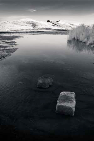 IMG_2862_1