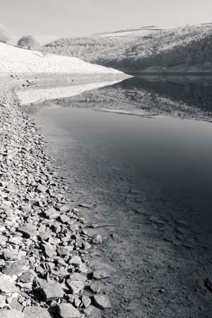 IOIMG_6961_1