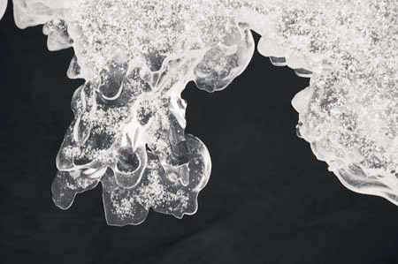 AD637W1429_1