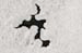 AD637W1459_1