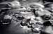 5DAA_7370 copy