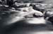 5DAA_7361 copy